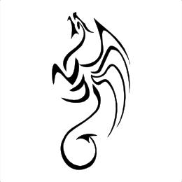 Flying dragon tattoo: N+D