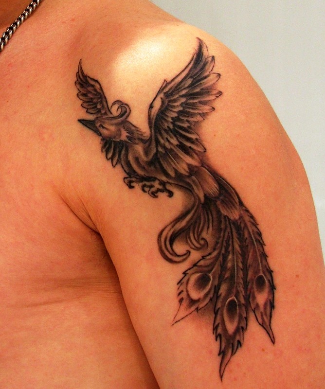 Jos&egrave; - Phoenix tattoo